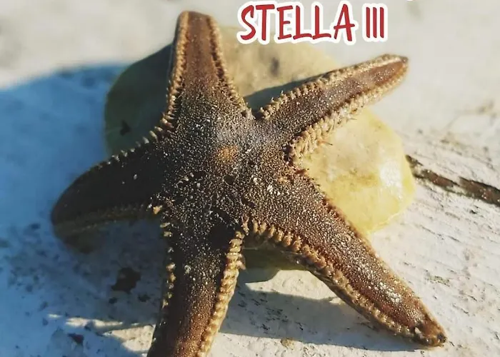 Mobile Stella Iii Soline Campsite Biograd Na Moru