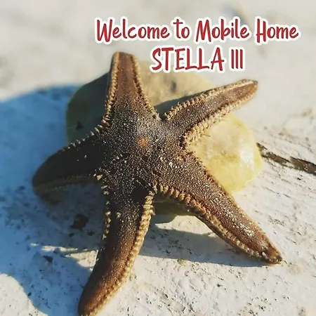 Mobile Stella Iii Soline キャンプ場 ビオグラード・ナ・モル